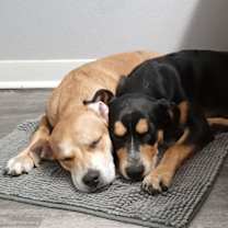 Thumbnail photo of Creed #3