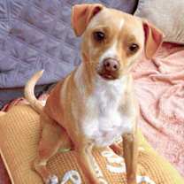 Thumbnail photo of Peach #2