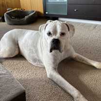 Thumbnail photo of Pete #1