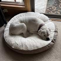 Thumbnail photo of Pete #3