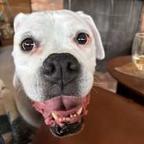 Thumbnail photo of Pete #4