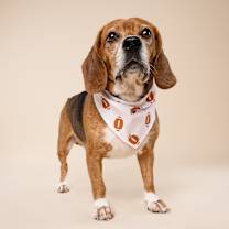 Thumbnail photo of Snoopy #3