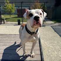 Thumbnail photo of Barry #2