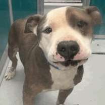 Thumbnail photo of Bruno Marz  #2