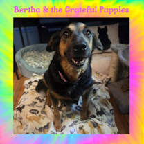 Thumbnail photo of Bertha #1