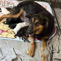 Thumbnail photo of Bertha #2