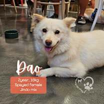 Thumbnail photo of Dao #1