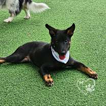 Thumbnail photo of Cola #3