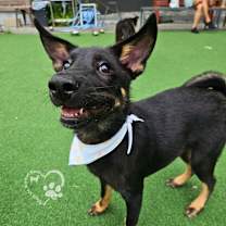 Thumbnail photo of Cola #4