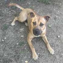 Thumbnail photo of Kinsley #1