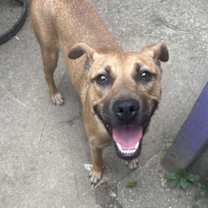 Thumbnail photo of Kinsley #2