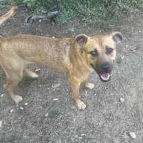 Thumbnail photo of Kinsley #3