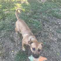 Thumbnail photo of Kinsley #4