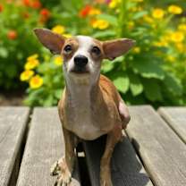 Thumbnail photo of Jean #1