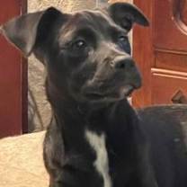 Thumbnail photo of Lyla Rome #1