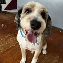 Thumbnail photo of Denver #2