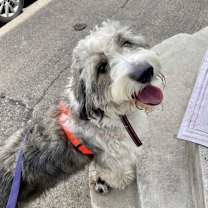 Thumbnail photo of Denver #3