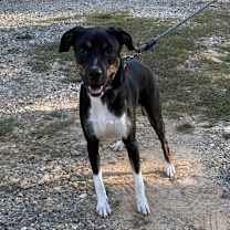 Thumbnail photo of Lucky #4