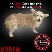 Thumbnail photo of Murph 3841 #1