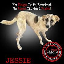 Thumbnail photo of Jessie 4224 #1