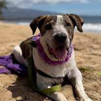 Thumbnail photo of Patrick #1