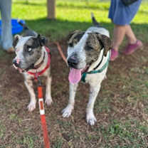 Thumbnail photo of Patrick #3