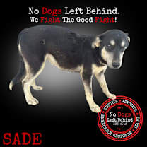 Thumbnail photo of Sade 4165 #1