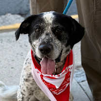 Thumbnail photo of Spot #1