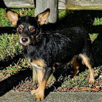 Thumbnail photo of MJ #1