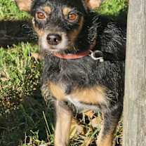 Thumbnail photo of MJ #2