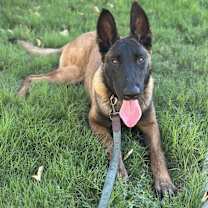 Thumbnail photo of Samantha #1