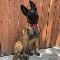 Thumbnail photo of Samantha #3