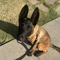 Thumbnail photo of Samantha #2