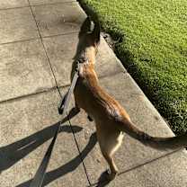 Thumbnail photo of Samantha #4