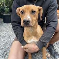 Thumbnail photo of Flint #2