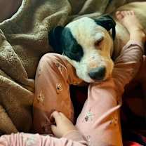 Thumbnail photo of Cody #2