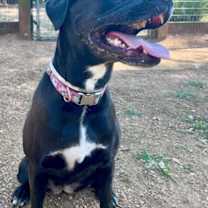 Thumbnail photo of Nova #3