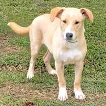 Thumbnail photo of Howie CNTY- 345 #1