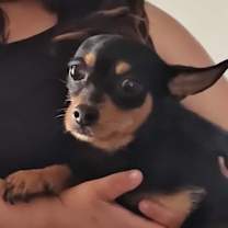 Thumbnail photo of Mo #4