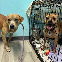 Thumbnail photo of Winslow #2