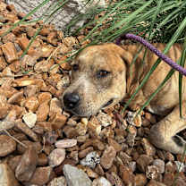 Thumbnail photo of Winslow #3