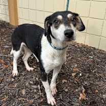 Thumbnail photo of Candy #3