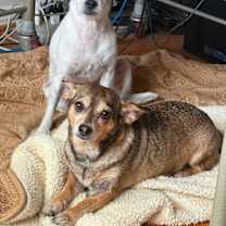 Thumbnail photo of Mamba #1