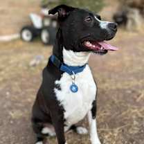 Thumbnail photo of Lychee #3