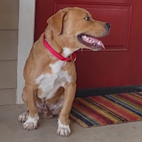 Thumbnail photo of King #2