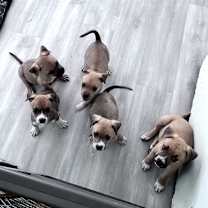 Thumbnail photo of Snow #2