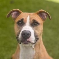 Thumbnail photo of Lyla #1