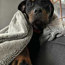 Thumbnail photo of Xena #1