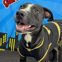 Thumbnail photo of Gloria #1