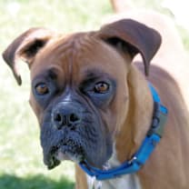 Thumbnail photo of MAX #1